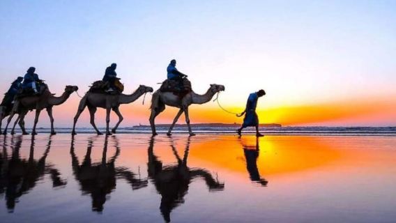 Marrakech: Paseo en camello al atardecer por el desierto de Agafay + Espectáculo con cena