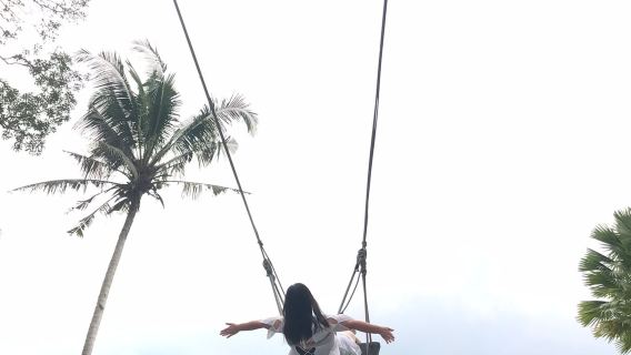 발리 스윙 + 점심 - 우붓 데이 투어 