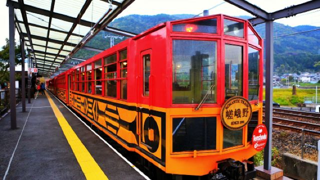 Kyoto Nara 1-Day Tour|Arashiyama train + Nara Park + Fushimi Inari + Departure from Osaka