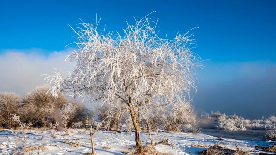 Rime-Covered Snow Mountain · Ganshika Colorful Ice Waterfall + Heart Lake + Grassland Horseback Riding Experience