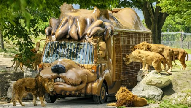 1-day tour to Kyushu Beppu Hell + Natural Zoo + Yufuin with experience of Yufuin no Mori train