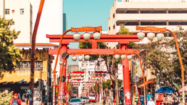 Zona Libera + Stazione di Luz + Caffè del Museo della Lingua Portoghese + Sala Concerti + Piazza della Repubblica