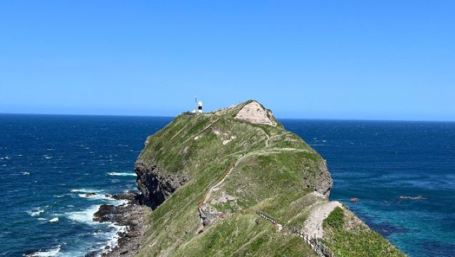 神威岬+島武意海岸+小樽運河+小樽音樂盒堂+北一硝子館