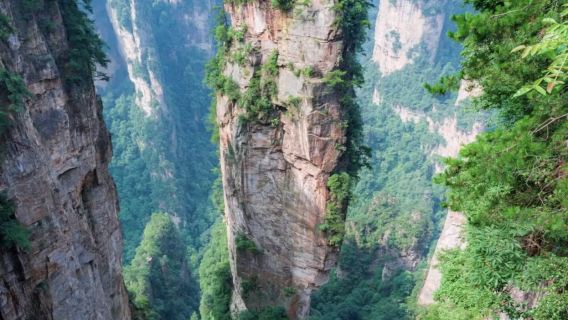 Zhangjiajie National Park & Glass Bridge Day Trip