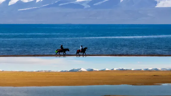 Qinghai Province - Xining, Chaka, Dachaidan | Chinese/English Guide (For other languages, please contact customer support) | Exhibition Interpretation | Business Inspection Interpretation | Customized Private Charter for Travel