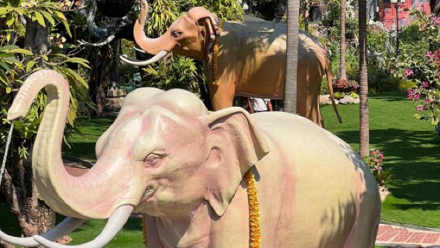 泰國曼谷翻譯 中泰 / 中英服務・旅遊地陪・展會翻譯・商務隨行・市場考察・全程導覽，高效溝通無憂