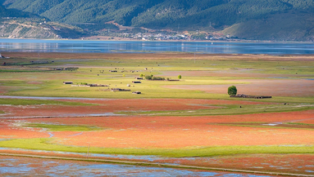 Excursión de un día a Lijiang + Shangri-La + el desfiladero del Salto del Tigre | Experiencia pura | Banquete Tusi | Bandera de oración gigante | Autopista de regreso