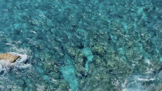 Tour di un giorno ai paesaggi del sud di Guam e noleggio con conducente esclusivo in città | 8 ore di tour | scelta tra autista cinese o inglese