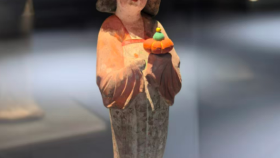 Experiência Local com Explicação Detalhada por Especialista no Museu de Xiam (Ingresso Incluso) - Idiomas: Chinês/Inglês/Coreano/Japonês