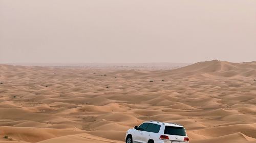 Dubai Desert Camp Experience: Standard Red Dune Desert Safari, Sand Boarding, and Buffet Dinner 3