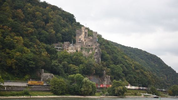 Jerman Heidelberg Pergi-Balik + Rüdesheim + Lawatan Sehari Taman Lembah Rhine [Sewaan Peribadi Bahasa Cina Dengan Pengambilan Di Tempat]