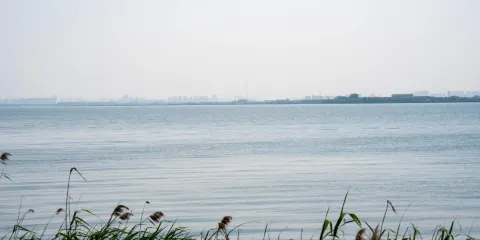 陽澄湖美人腿景區&重元寺&華誼兄弟電影世界 包車一日遊