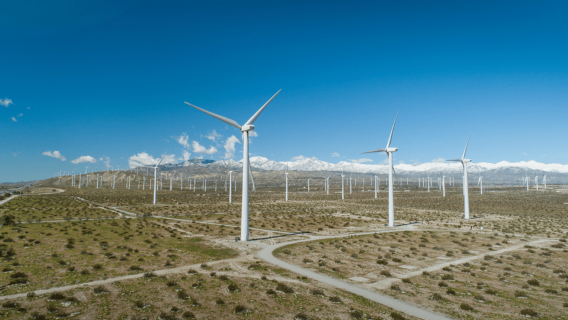 Palm Springs: Guided Golf Cart Windmill Tour