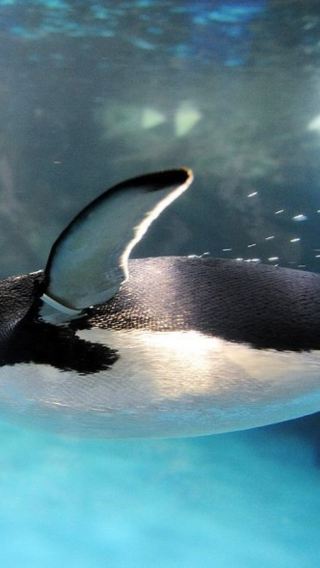 Kaohsiung Departure: National Museum of Marine Biology & Eluanbi & Kenting Shared Day Tour [Excluding Admission Tickets]
