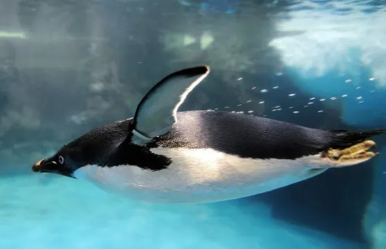 海生館＋鵝鑾鼻＋墾丁拼車一日遊【高雄出發｜不包門票】