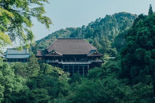 日本京都+奈良+清水寺+伏見稻荷大社+奈良公園一日遊