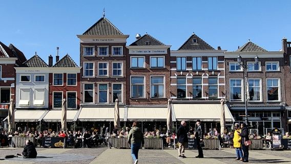 Delft: Guided City Walking Tour