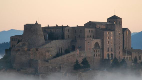 Castillo de Cardona: Visita guiada