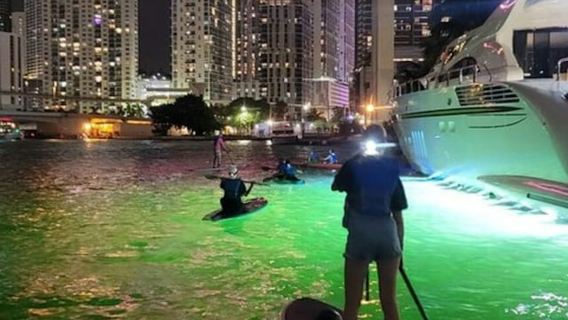 Miami: Nachttour mit Stand-Up-Paddling oder Kajak zu den Stadtlichtern