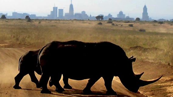 NairobiTours