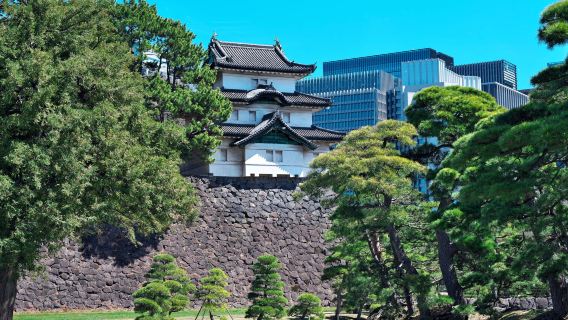 UenoharaTravel Services