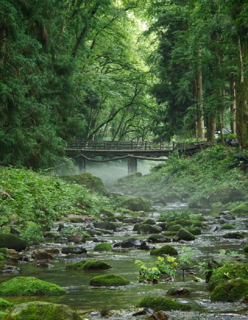 湖南張家界天門山武陵源旅遊翻譯專業導遊獨立包車xx