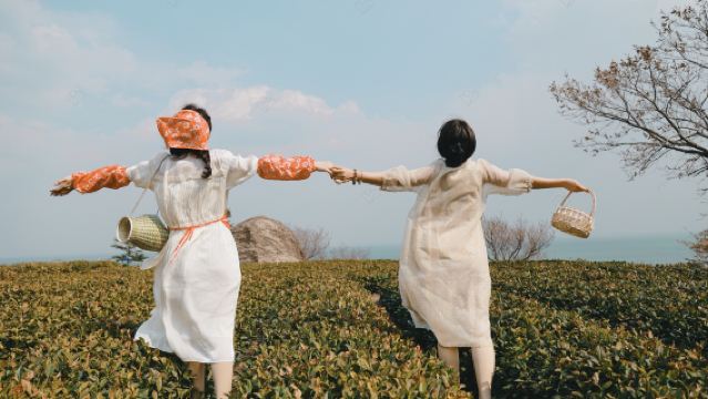 嶗山仰口太清一日遊【純玩 含門票 可升級6人團 /醉美公路】