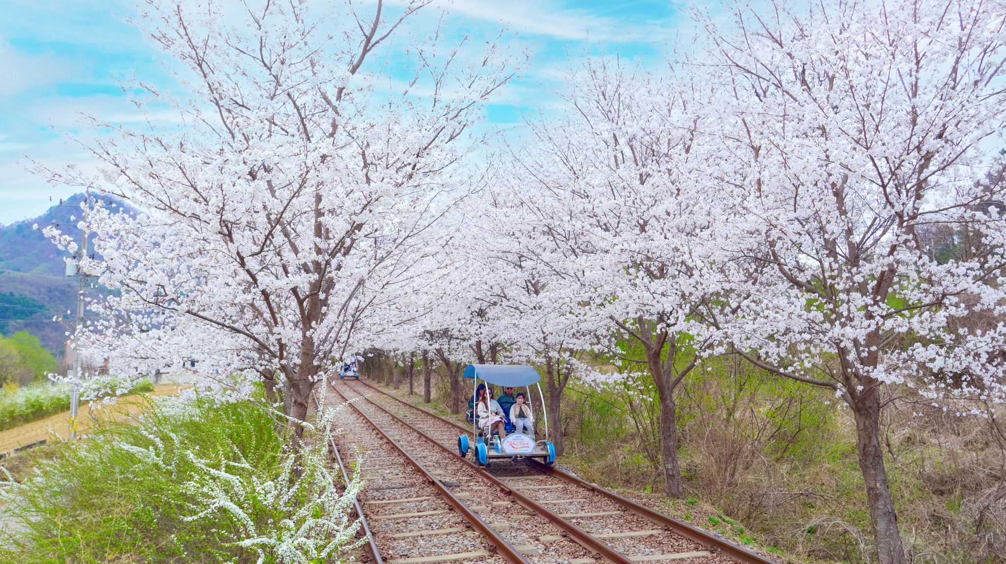 เกาะนามิ + หมู่บ้านฝรั่งเศสเล็กหรือหมู่บ้านอิตาลี + จักรยานรางเกาหลีที่เมือง Gapyeong + สวน Morning Calm ทัวร์ 1 วัน