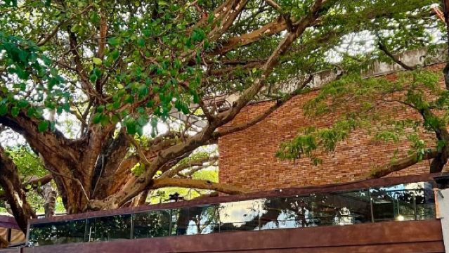 巴西聖保羅純享行-4-5個著名景點深度遊-行程可調-安全無憂