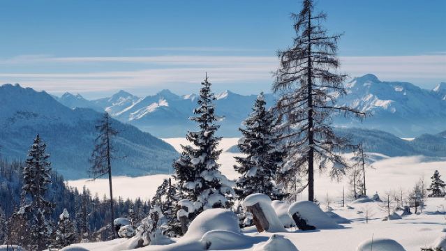 挪威·特羅姆瑟·塞尼亞島senja·攝影團【包車/跟團可選】