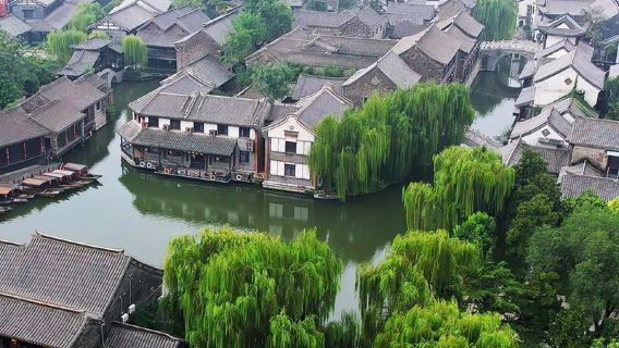 Shandong Zaozhuang Baodugu Forest Park + Railway Guerrilla Film and Television City 1-day tour with private charter (English Available)