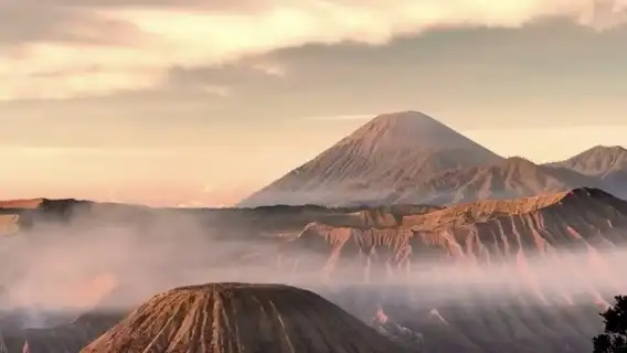 印尼雅加達市  專業翻譯|地陪|商務翻譯|展會翻譯|陪同拜訪