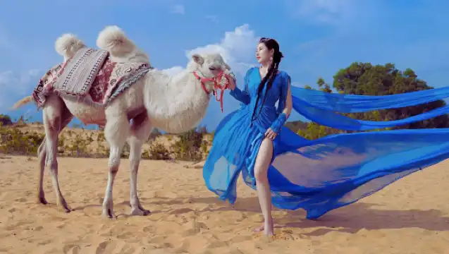 ホーチミン・ムイネワンデーツアー【日本語ガイド+少人数グループ+サファリサンド+フェアリーストリームハイキング】