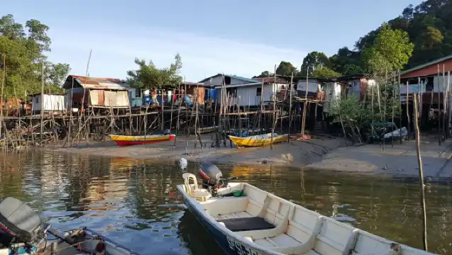 Dolphin Watching Mangrove Cruise in Kuching with Lunch 