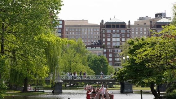 Boston day tour: Freedom Trail + Quincy Market + Boston Common + New England Aquarium