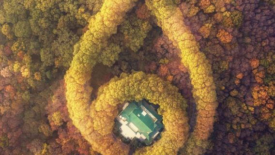 【私家團】南京美齡宮1.5H文史大咖深度精緻導覽含門票|含耳機