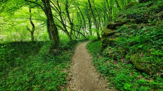From Oradea: Gorges of Crisul Repede River