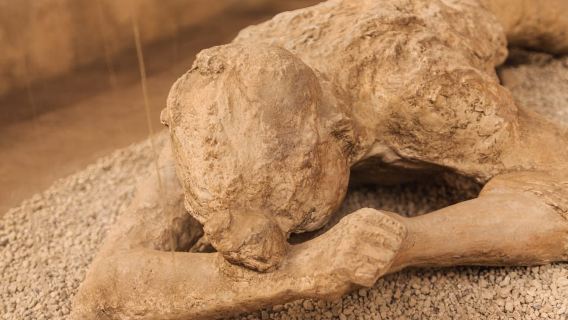 Pompeii: 2-Hour Guided Tour with an Archaeologist