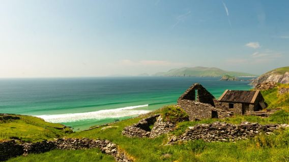 Từ Killarney: Bờ biển hoang dã của Bán đảo Dingle và Mũi Slea
