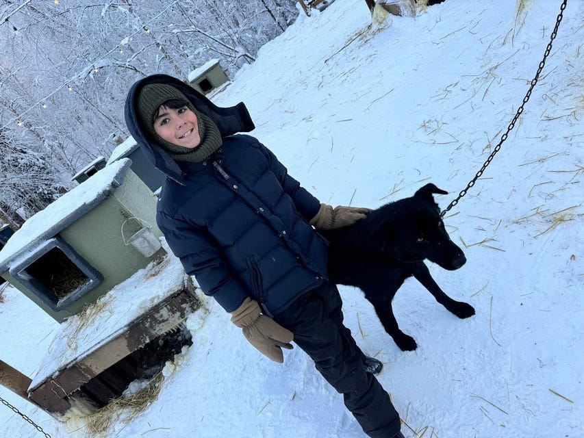 ウィロー：冬の犬ぞりアドベンチャー