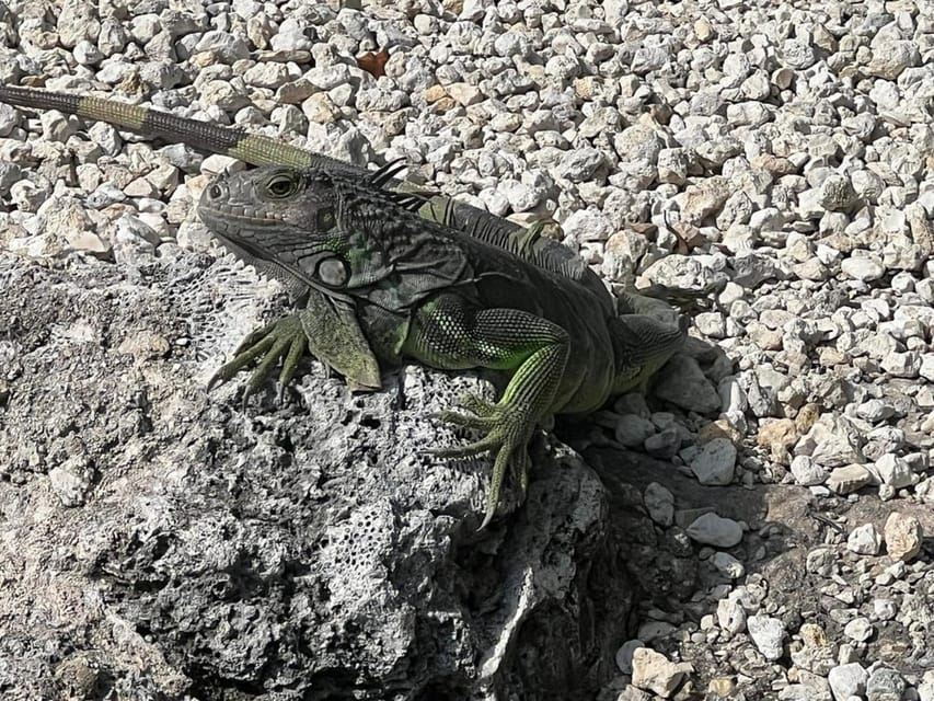 Key Largo: Öko-Bootstour