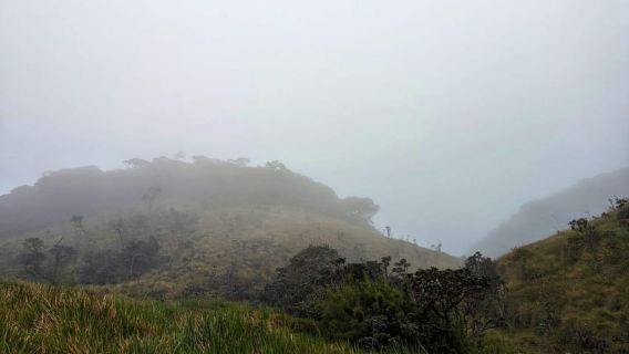 Gangawatakorale