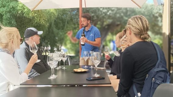 Tour du lịch rượu vang Arrábida tư nhân ở Lisbon: Văn hóa, Phong cảnh & Rượu vang