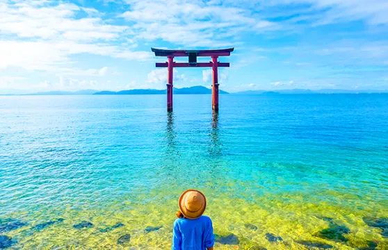 滋賀縣琵琶湖日遊，打卡白鬚神社水上鳥居，美術館小眾治癒之旅