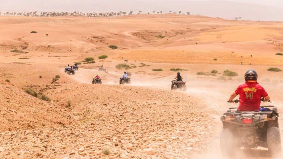 Petualangan Bersepeda Quad yang Menyenangkan di Gurun Agafay