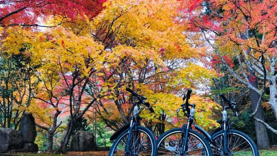 Hiroshima Country Cycling: Explore Rural Life 1 HR from City