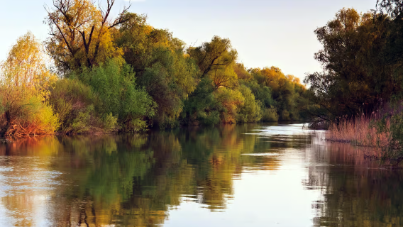 Half-day tour to Tigre Partido Delta from Buenos Aires, Argentina (cruise/guide)