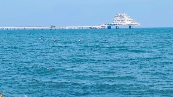 養馬島帳篷浪漫沙灘遊