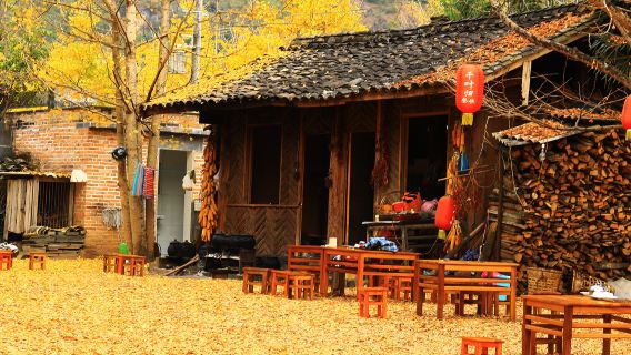 騰衝火山公園+銀杏村+土陶非遺+下午茶秋趣非遺一日遊