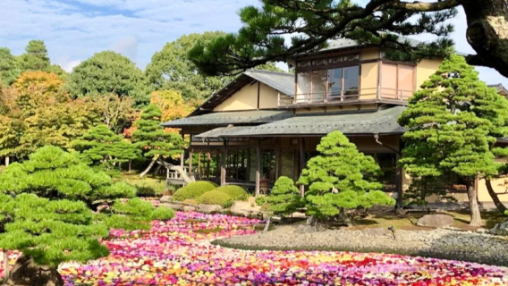 【境港到港遊】松江城-城山公園-由志園-水木茂大道|拼團一日